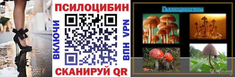 Галлюциногенные грибы GOLDEN TEACHER  Алексин 